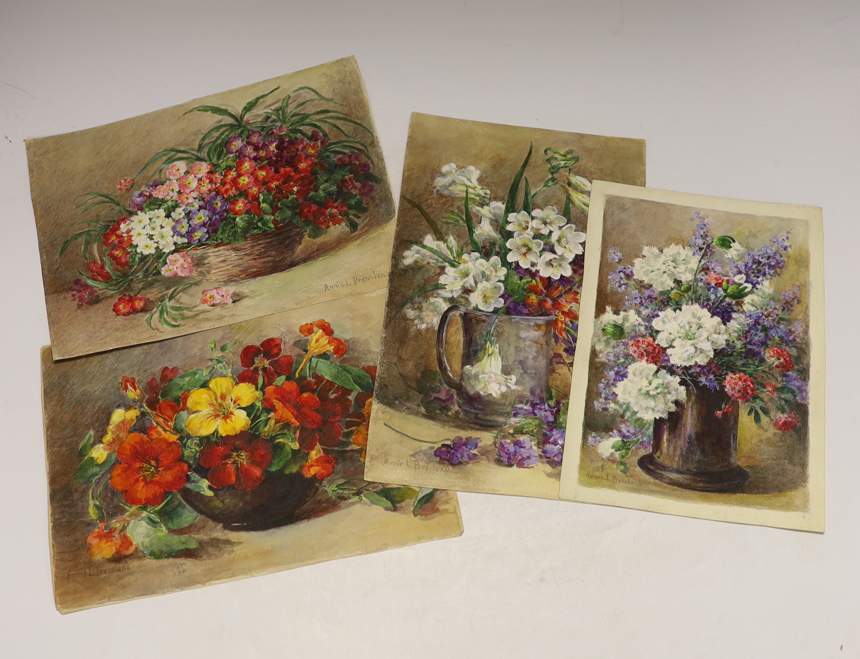 Annie L. Pressland (1862-1933) four watercolours on card, ‘Primulas’, ‘Nasturtiums’, ‘White Pinks & Catmint’ & ‘Freesias & Parma Violets’, each signed, unframed, 28 x 18cm